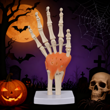 Load image into Gallery viewer, Vibeat Life-Size Human Hand Joint Model with Flexible Ligaments, Anatomical Hand Skeleton Model with Study Card & Display Base, Medical Anatomy Teaching Model for Students, Classroom Education