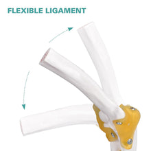 Load image into Gallery viewer, Vibeat Life-Size Human Elbow Joint Anatomy Model with Flexible Ligaments, Anatomical Elbow Skeleton Model with Study Card &amp; Display Base, PVC Medical Teaching Model for Anatomy Education
