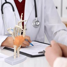 Load image into Gallery viewer, Vibeat Life-Size Human Hand Joint Model with Flexible Ligaments, Anatomical Hand Skeleton Model with Study Card &amp; Display Base, Medical Anatomy Teaching Model for Students, Classroom Education
