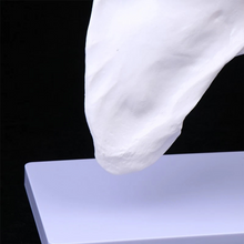 Load image into Gallery viewer, Vibeat Life-Size Human Shoulder Joint Anatomy Model with Flexible Ligaments, Anatomical Shoulder Skeleton Model with Display Base, PVC Medical Teaching Model for Anatomy Education
