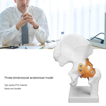 Load image into Gallery viewer, Vibeat Life-Size Human Hip Joint Anatomy Model with Flexible Ligaments, Anatomical Hip Bone Model with Display Base, PVC Medical Teaching Model for Anatomy Education
